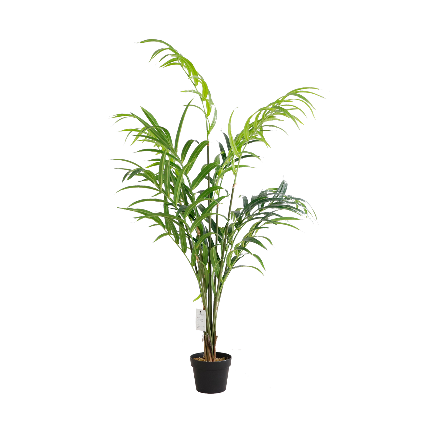 KD9277-Palm Tree-H150cm