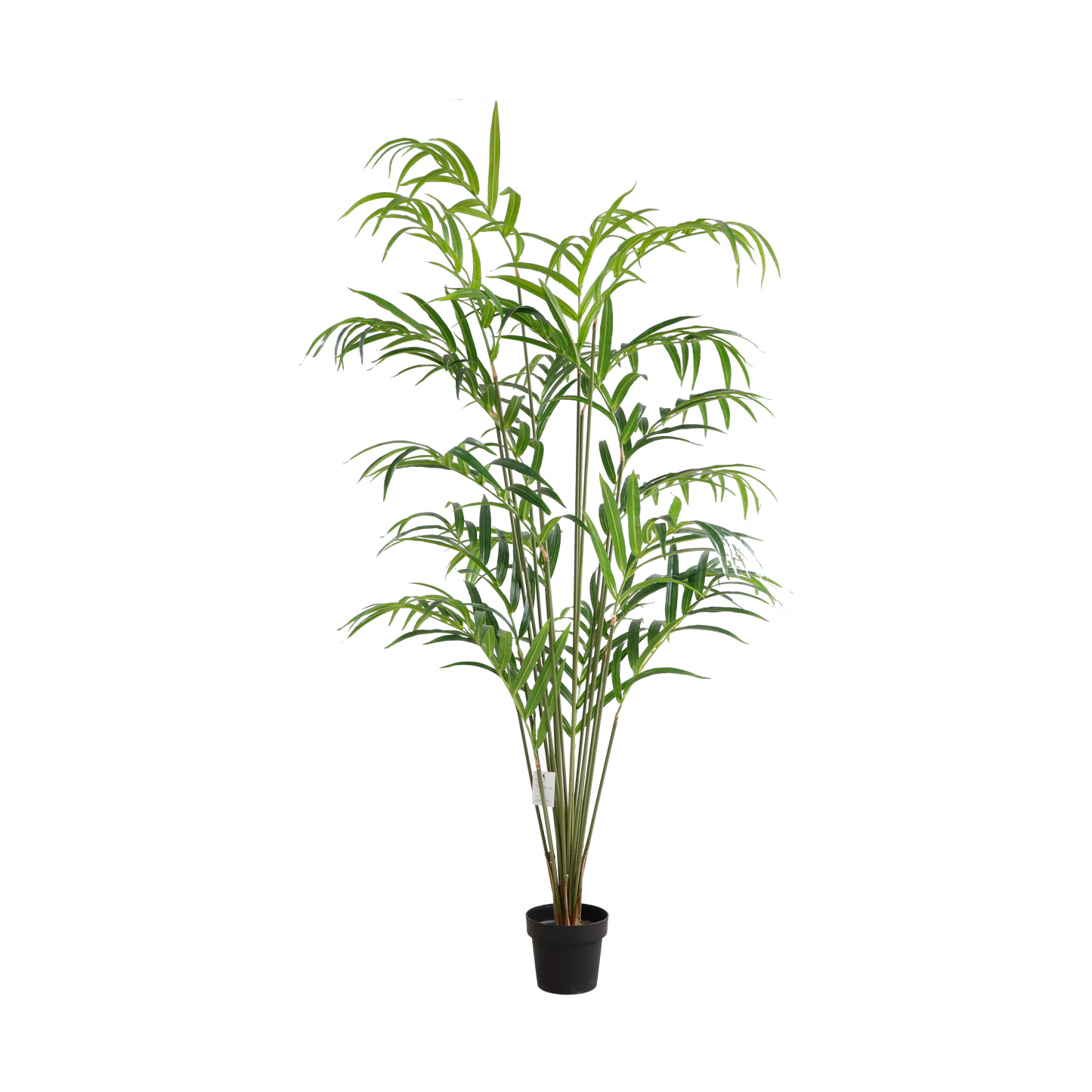 KD9280-Palm Tree-H220cm