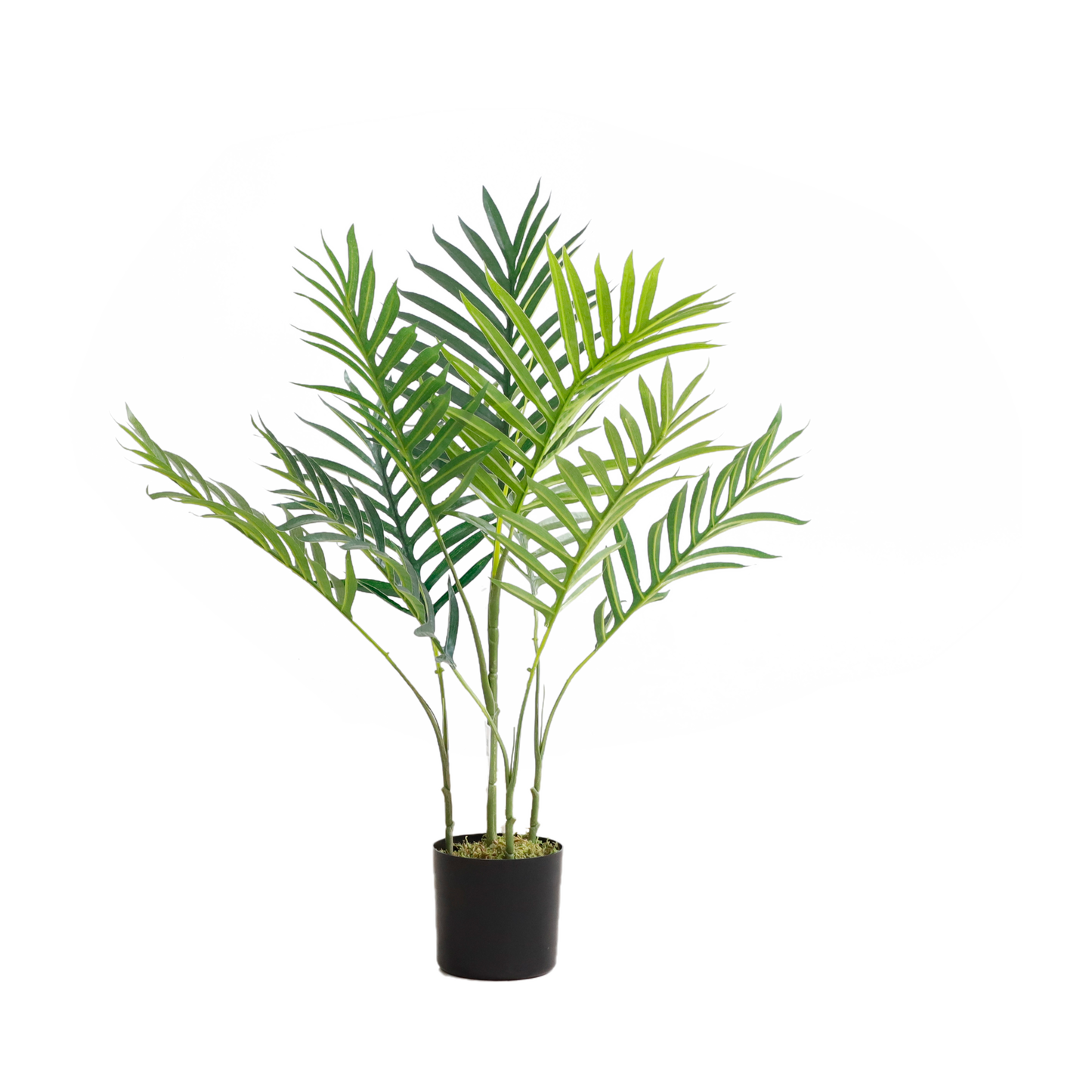 KD9288-Palm Tree-H70cm