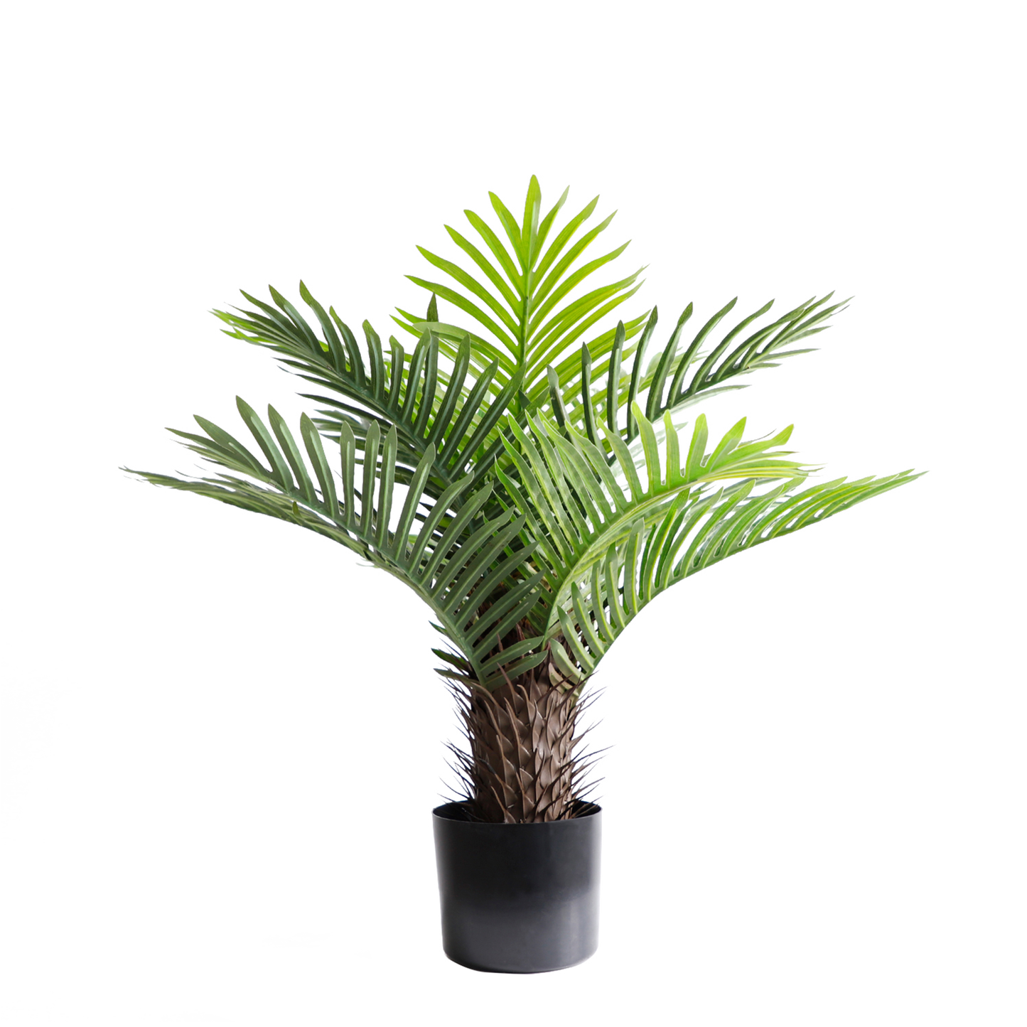 KD9290-Palm Tree-H75cm