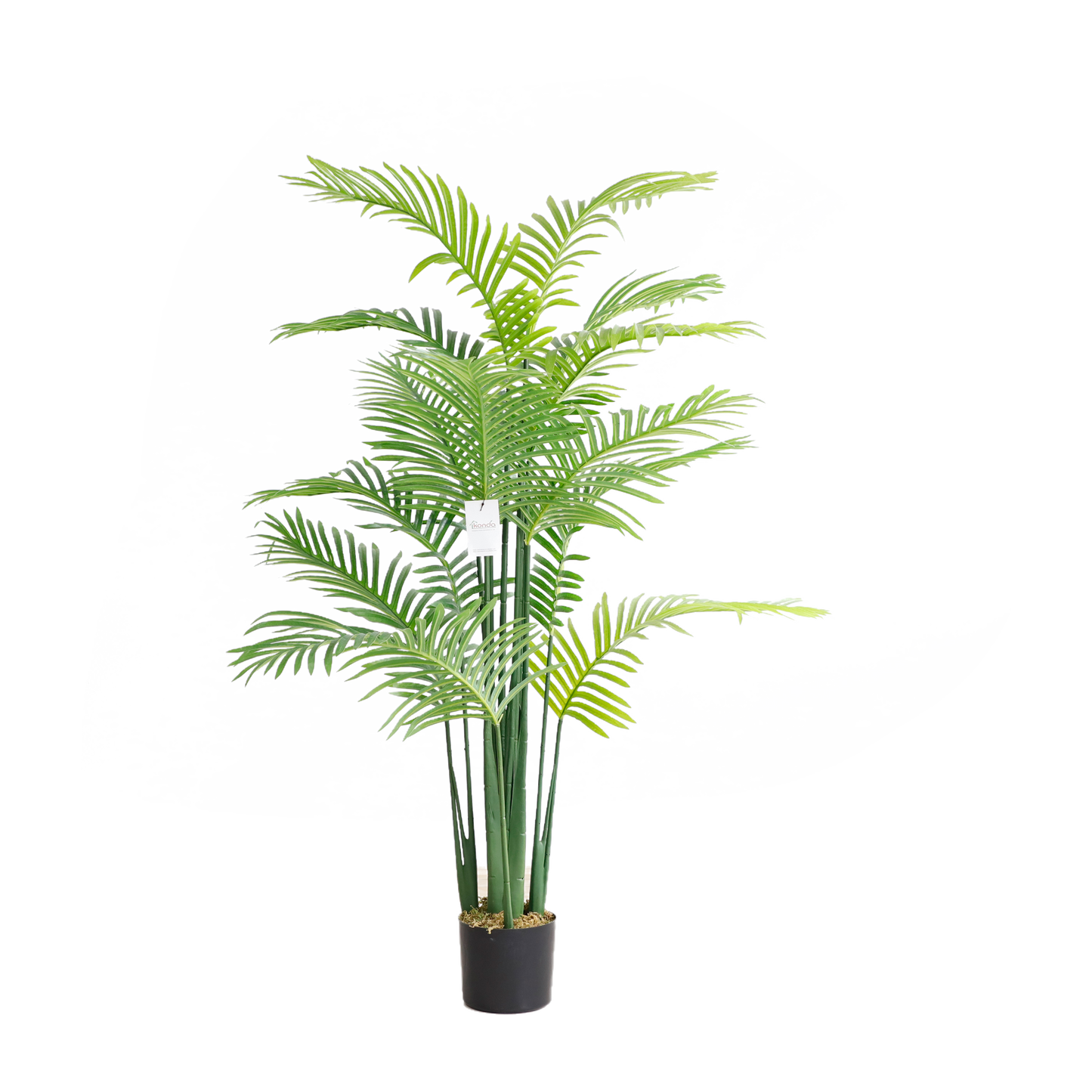 KD9293-Palm Tree-H140cm