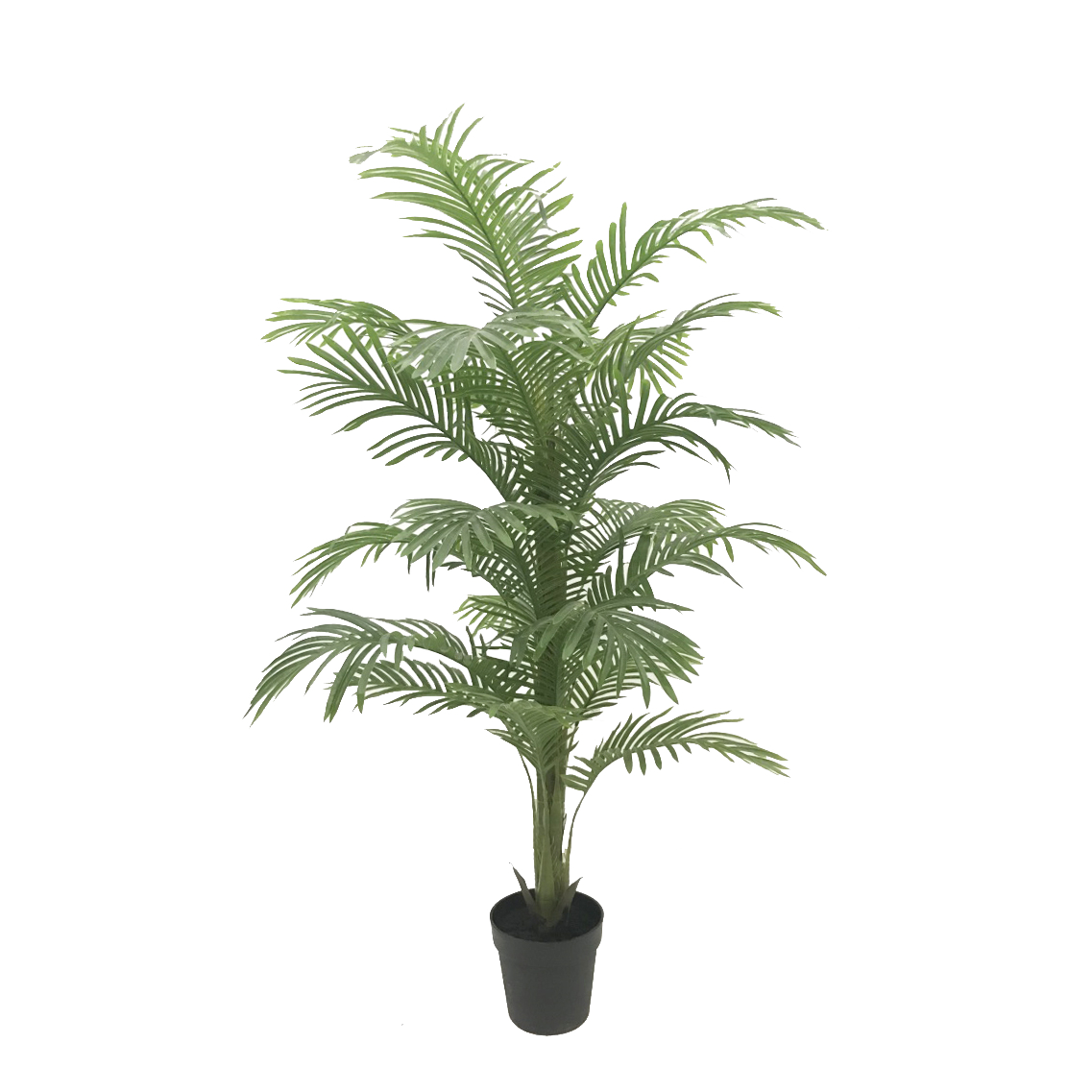 KD9294-Palm Tree-H150cm