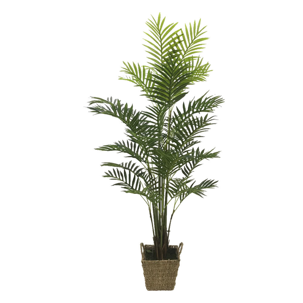 KD9296-Palm Tree-H160cm