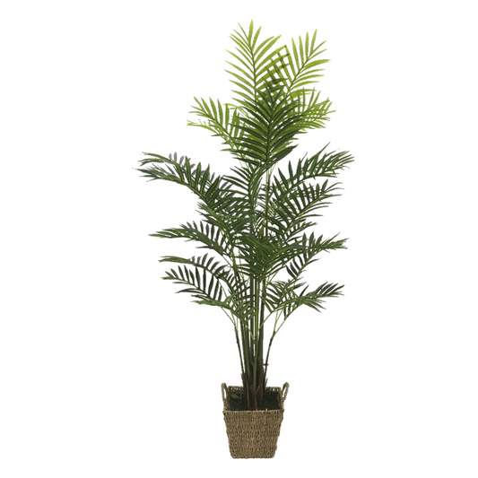 KD9296-Palm Tree-H160cm