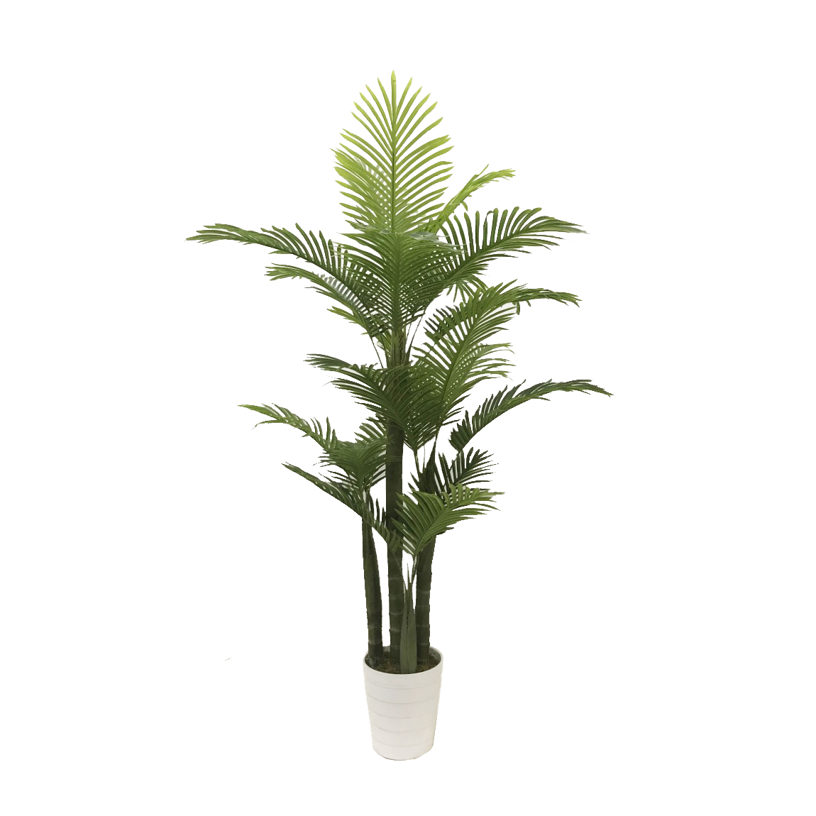 KD9297-Palm Tree-H160cm