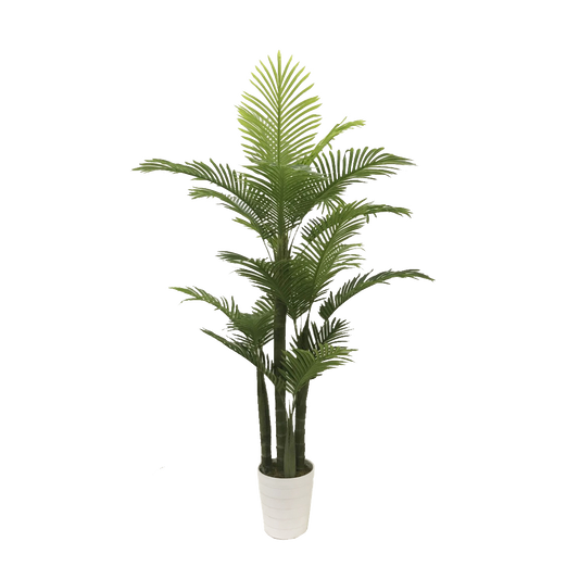 KD9297-Palm Tree-H160cm