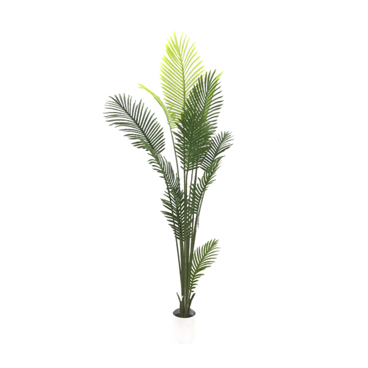 KD9298-Palm Tree-H160cm