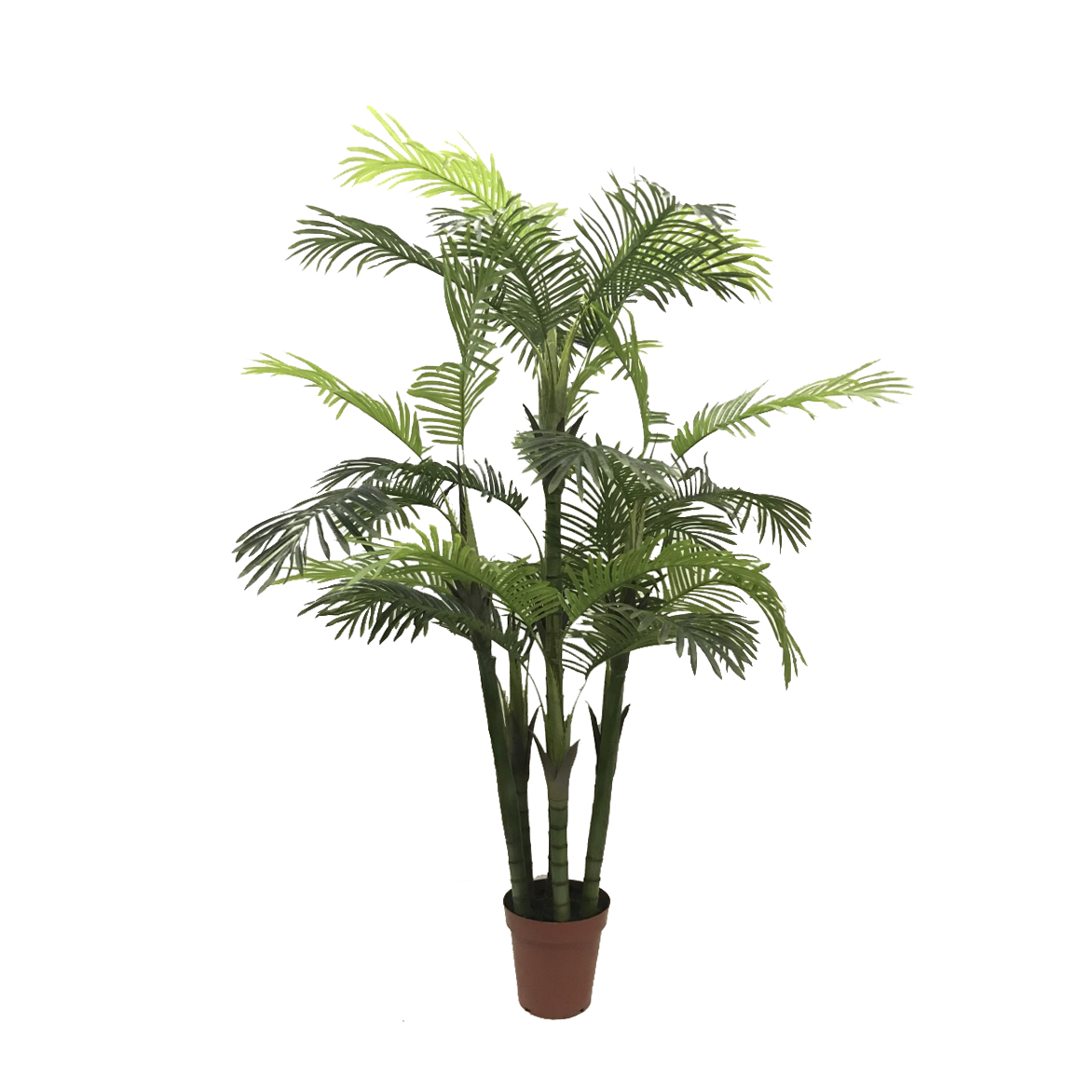 KD9299-Palm Tree-H170cm