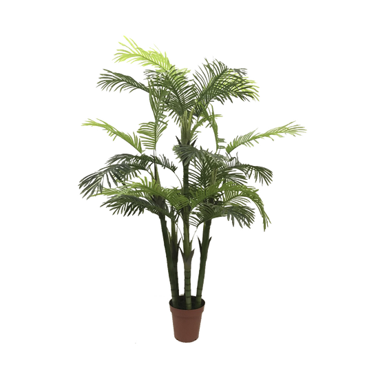 KD9299-Palm Tree-H170cm