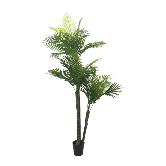 KD9301-Palm Tree-H210cm