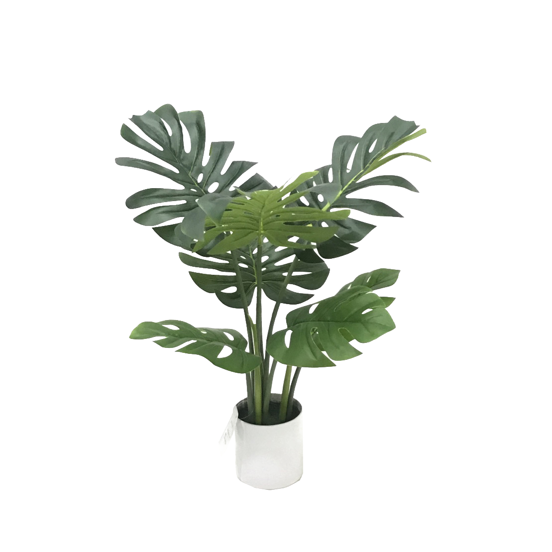 KD9303- Monstera-H60cm