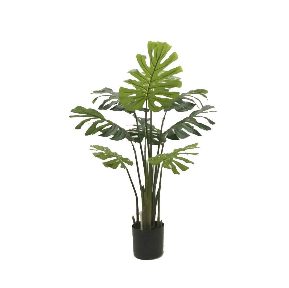 KD9304- Monstera-H100cm
