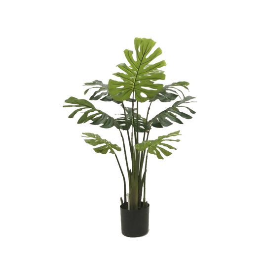 KD9304- Monstera-H100cm