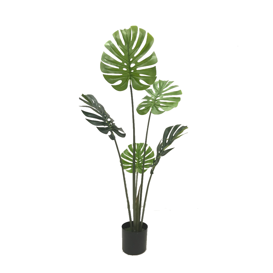 KD9305- Monstera-H120cm