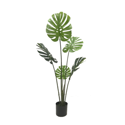 KD9305- Monstera-H120cm
