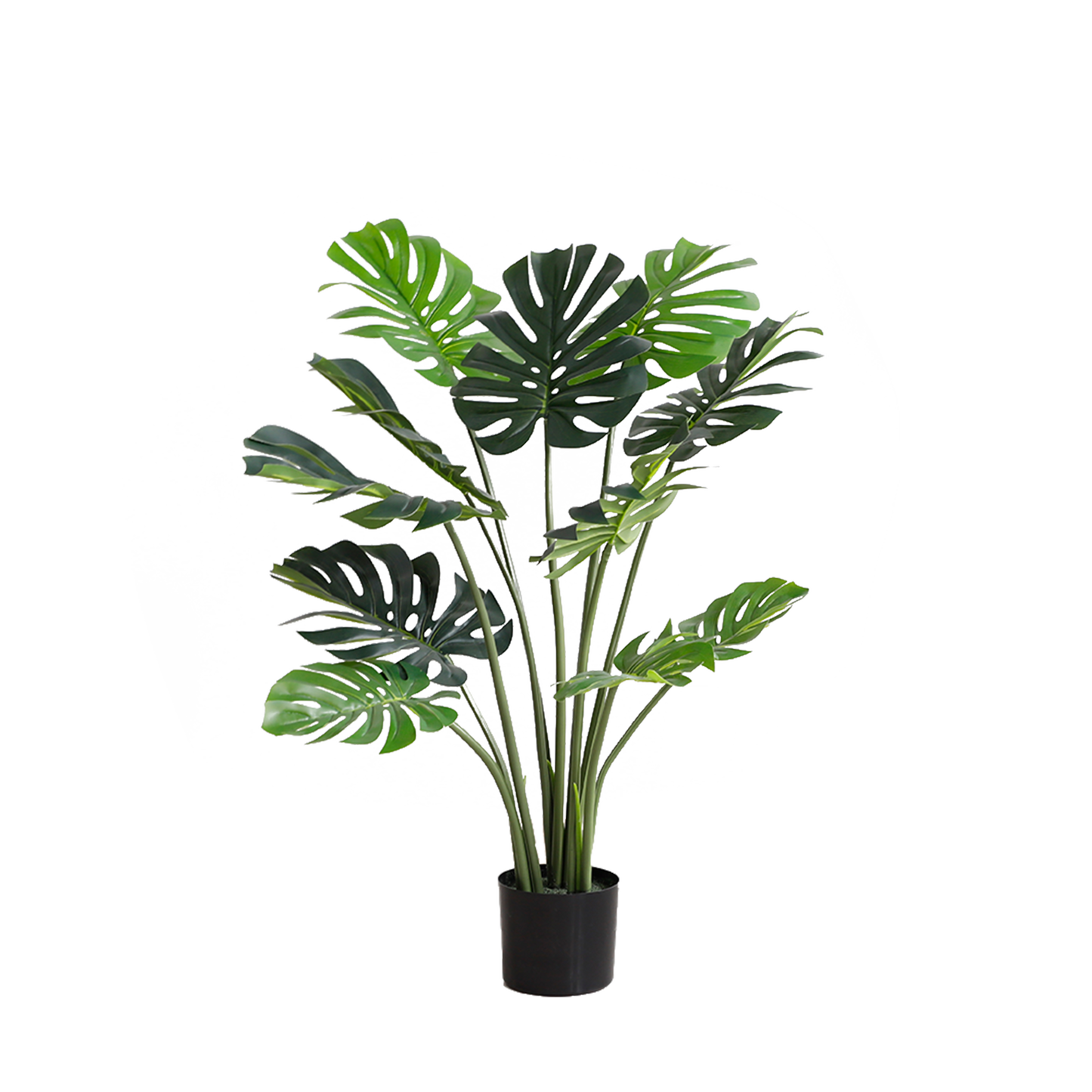 KD9306- Monstera-H120cm