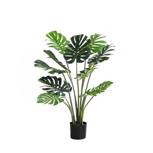 KD9306- Monstera-H120cm
