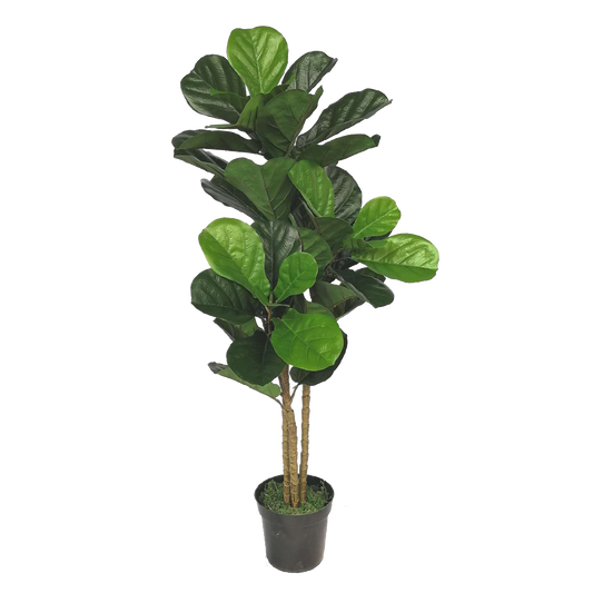 KDM010-Fiddle tree  45leaves-H120cm