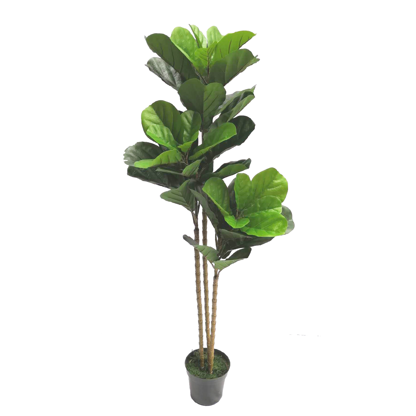 KDM011-Fiddle tree  45leaves-H150cm