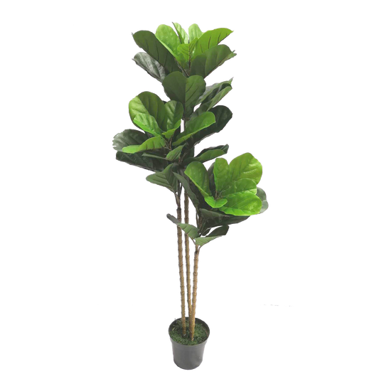 KDM011-Fiddle tree  45leaves-H150cm