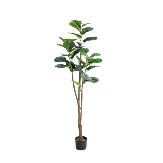 KDM012-Fiddle tree 60leaves-H150cm