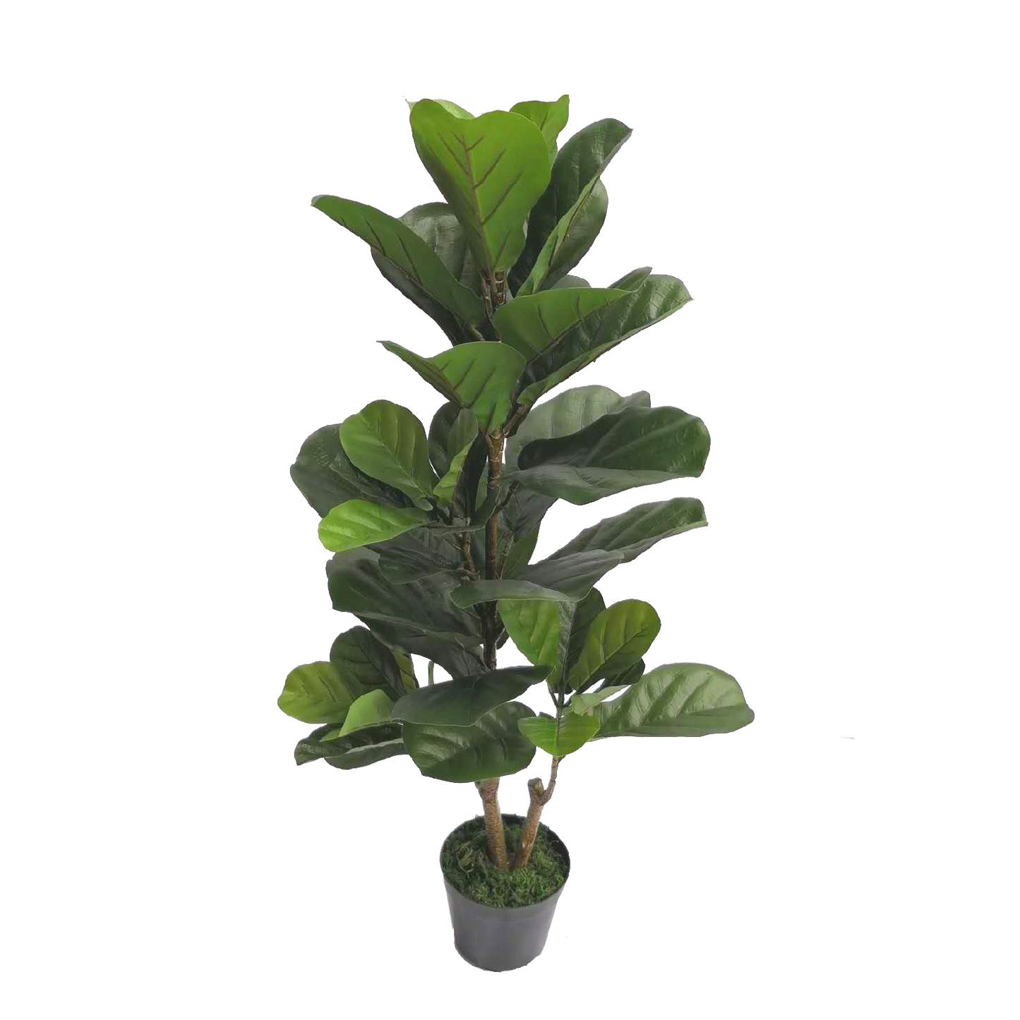 KDM013-Fiddle tree 43leaves-H100cm