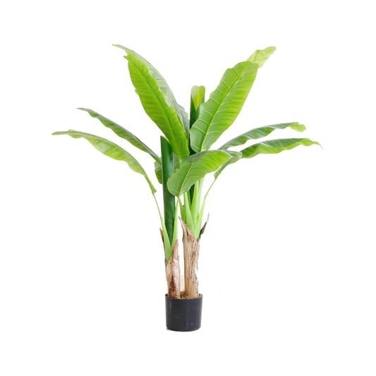 KDM014-Banana Tree-H120cm