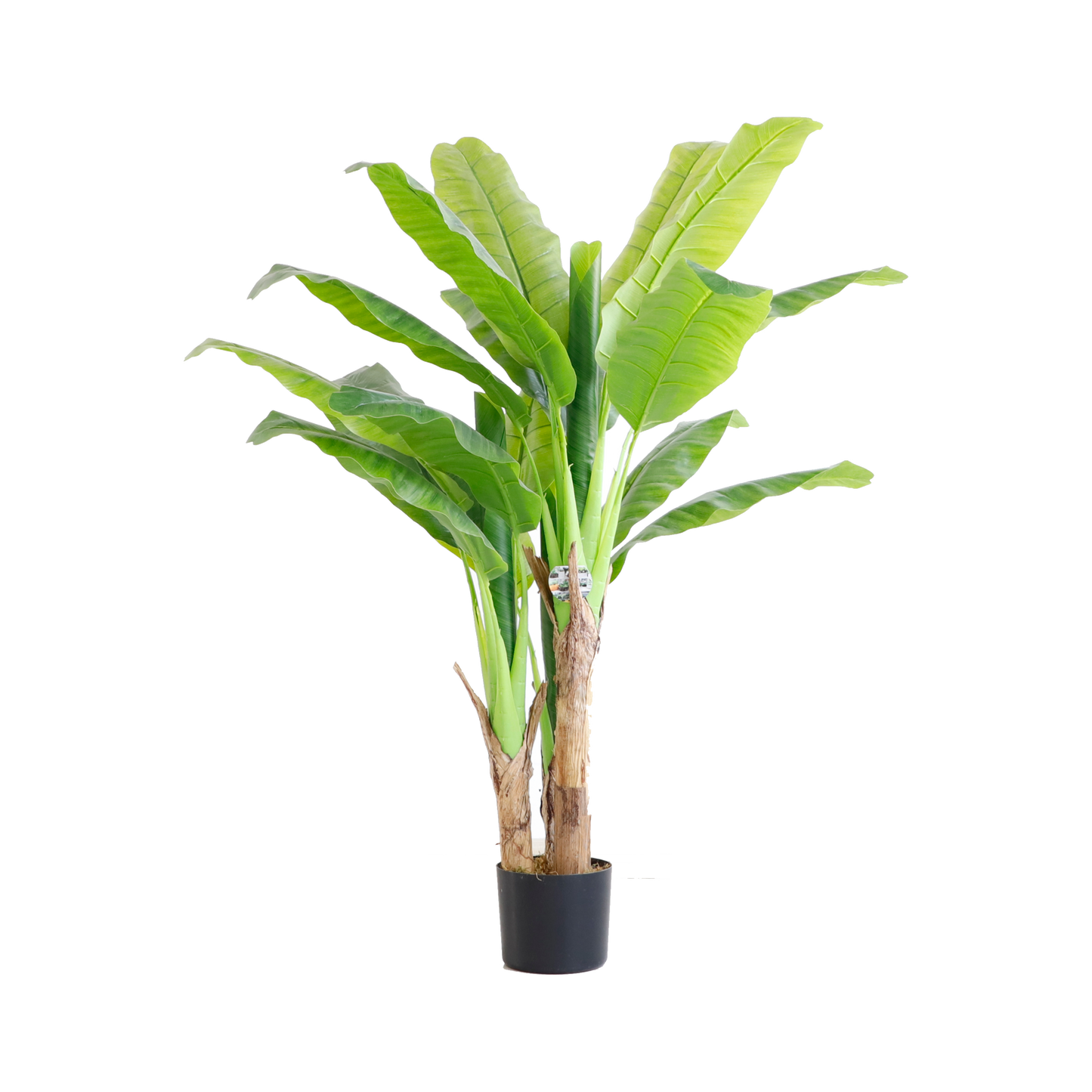 KDM015-Banana Tree-H150cm