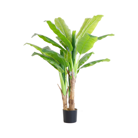 KDM015-Banana Tree-H150cm