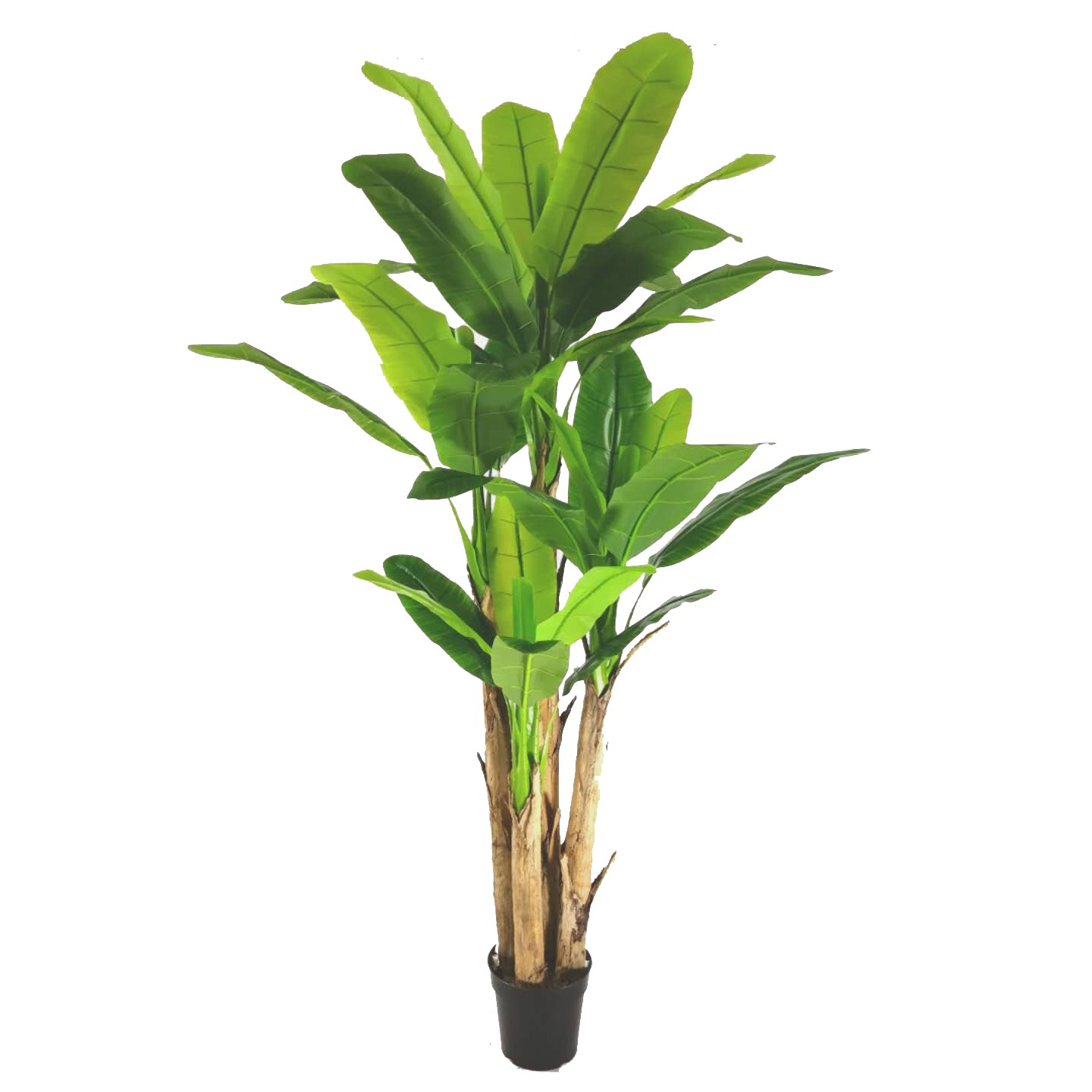 KDM018-Banana Tree-H280cm