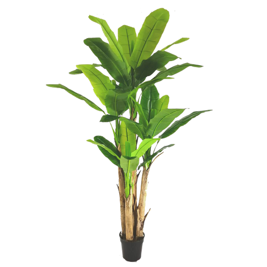 KDM018-Banana Tree-H280cm