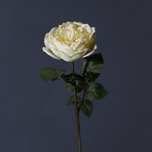 KHY-0001-Artificial flower-20#-H51cm