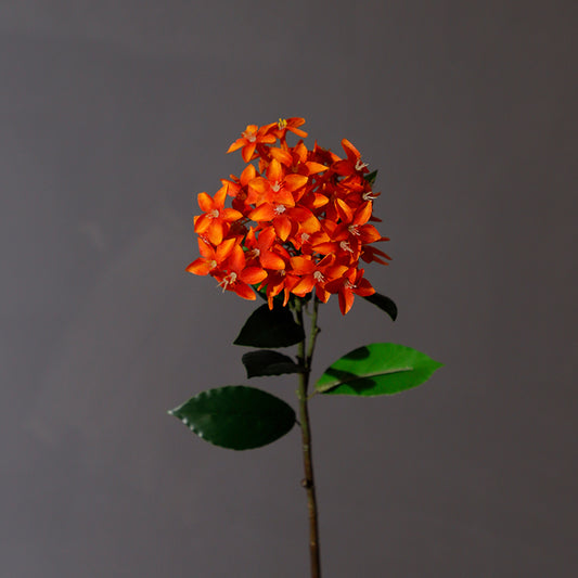 KHY-0018-Artificial flower-11#-H67cm