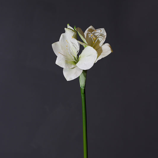 KHY-0027-Artificial flower-10#-H57cm