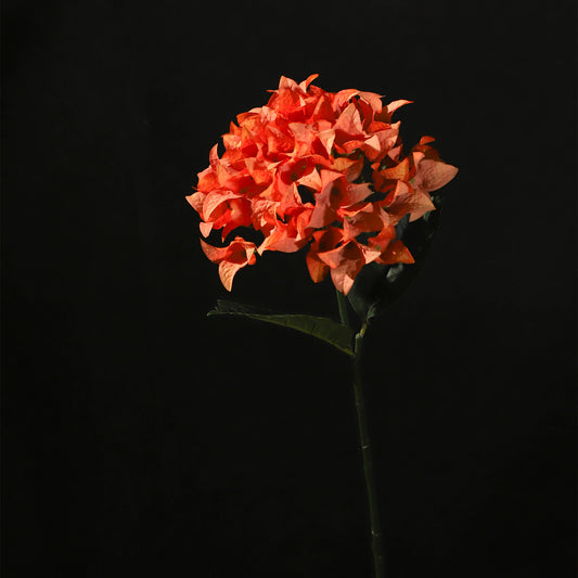 KJH036/Artificial flower/H:67cm