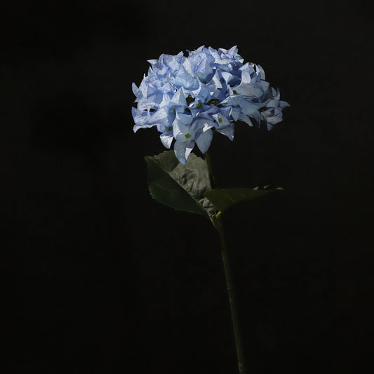 KJH037/Artificial flower/H:67cm