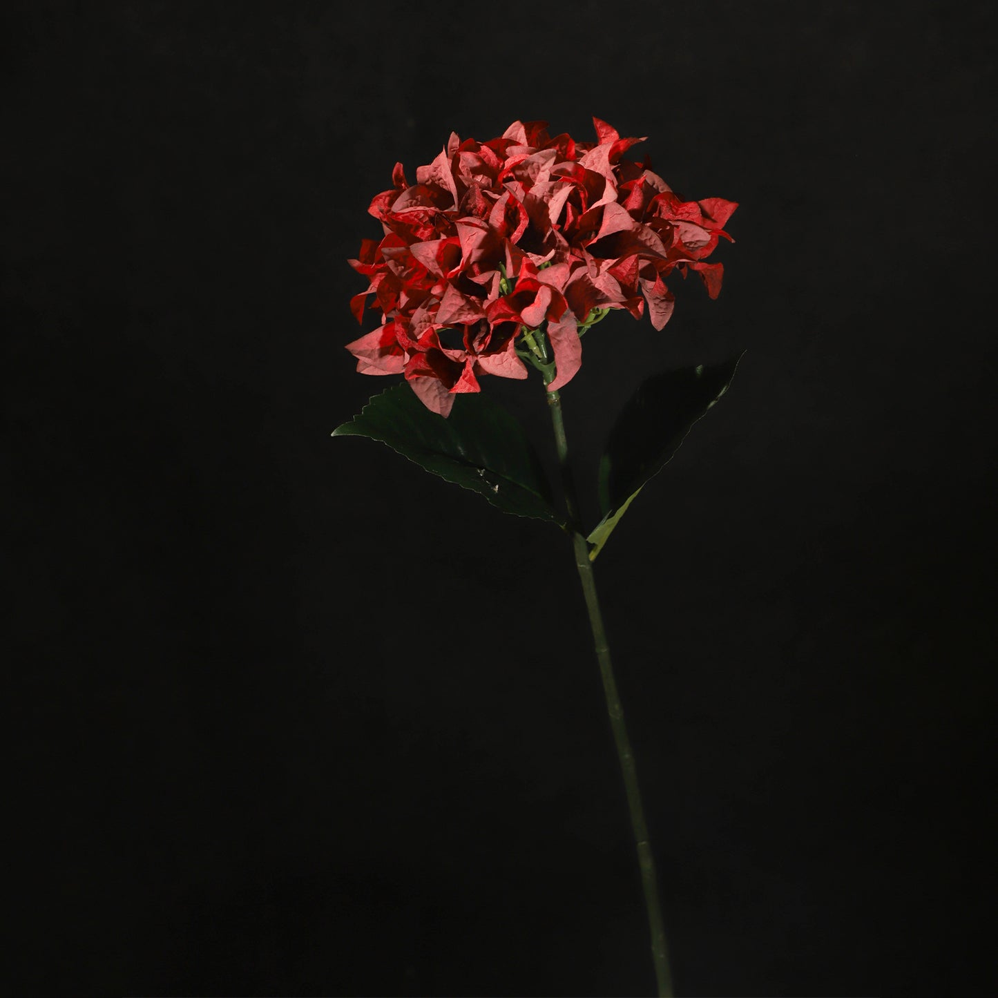 KJH038/Artificial flower/H:67cm