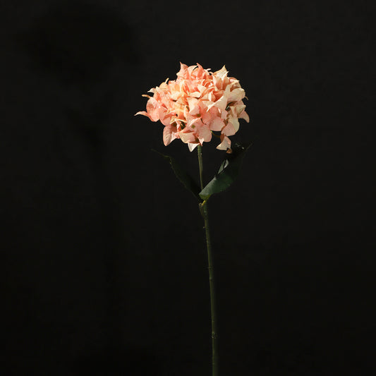 KJH039/Artificial flower/H:67cm