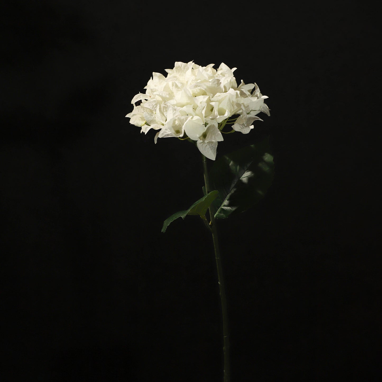 KJH040/Artificial flower/H:67cm