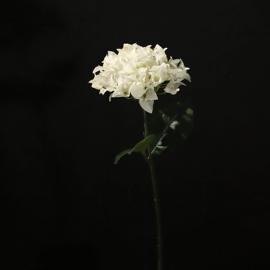 KJH040/Artificial flower/H:67cm