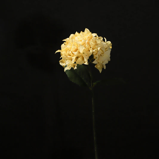 KJH041/Artificial flower/H:67cm