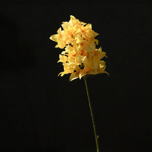 KJH043/Artificial flower/H:47cm