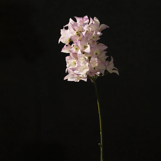 KJH044/Artificial flower/H:47cm