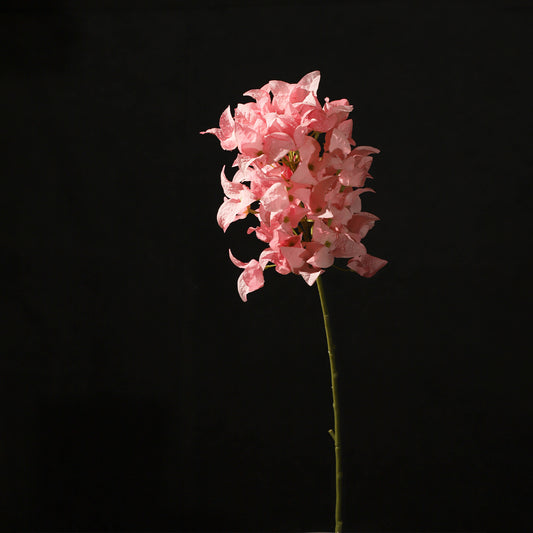 KJH046/Artificial flower/H:47cm