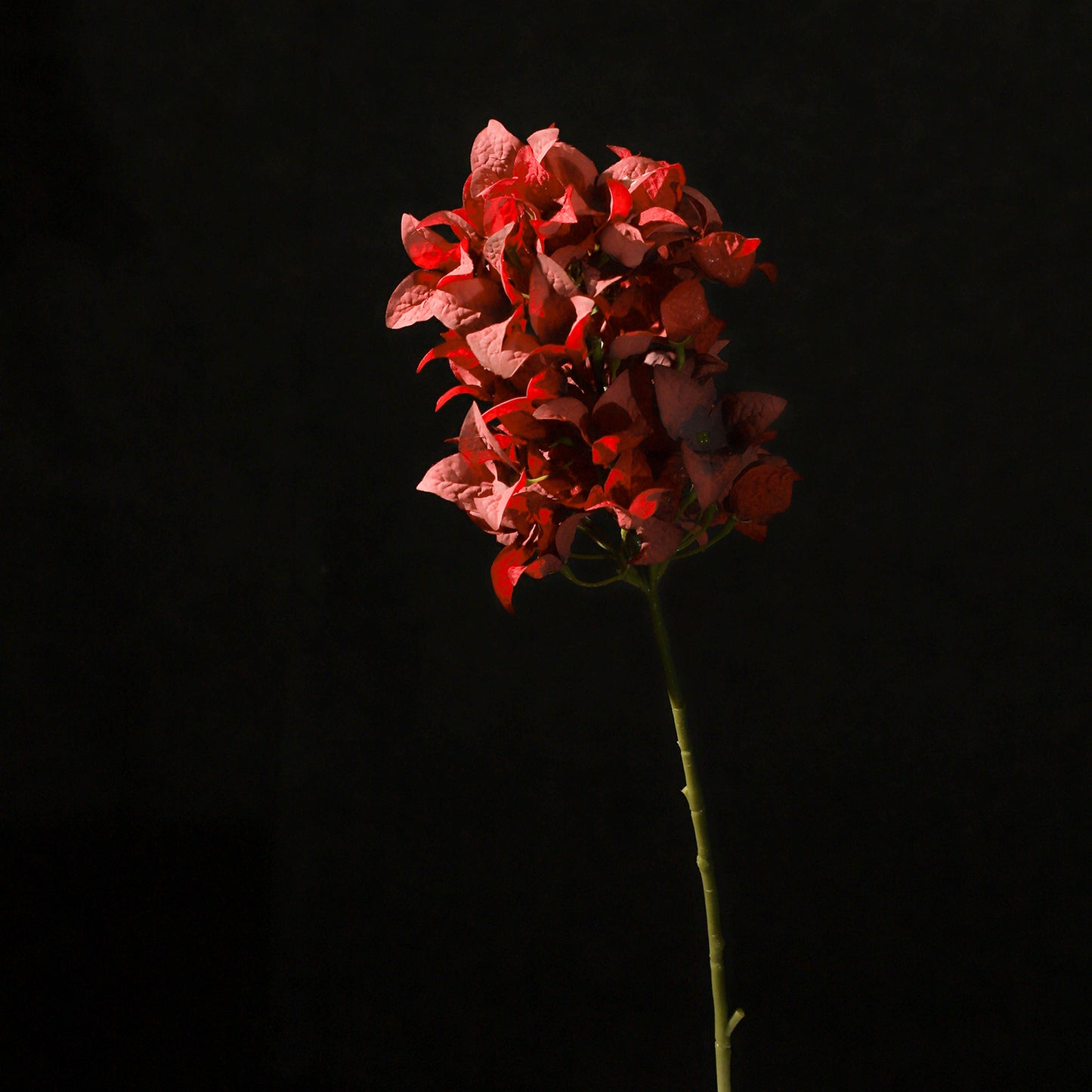 KJH048/Artificial flower/H:47cm