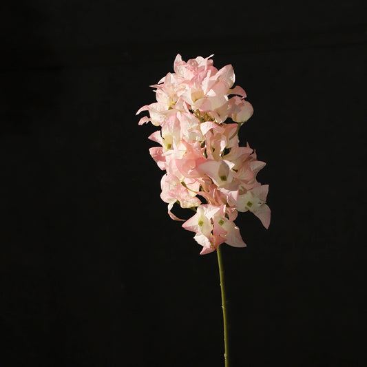 KJH049/Artificial flower/H:47cm