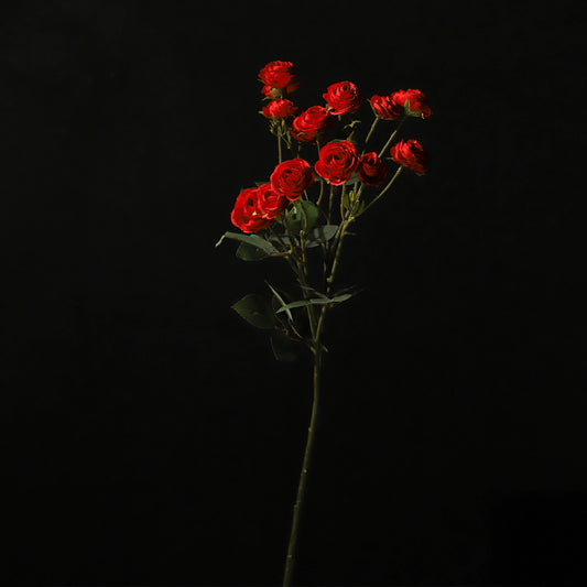 KJH158/Artificial flower/H:68cm
