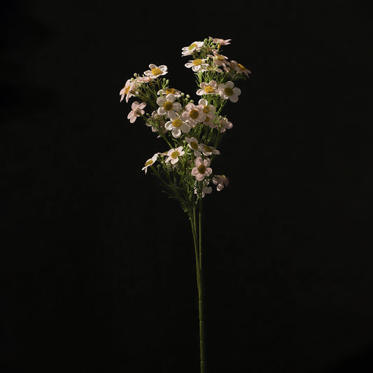KJH182/Artificial flower/H:64cm