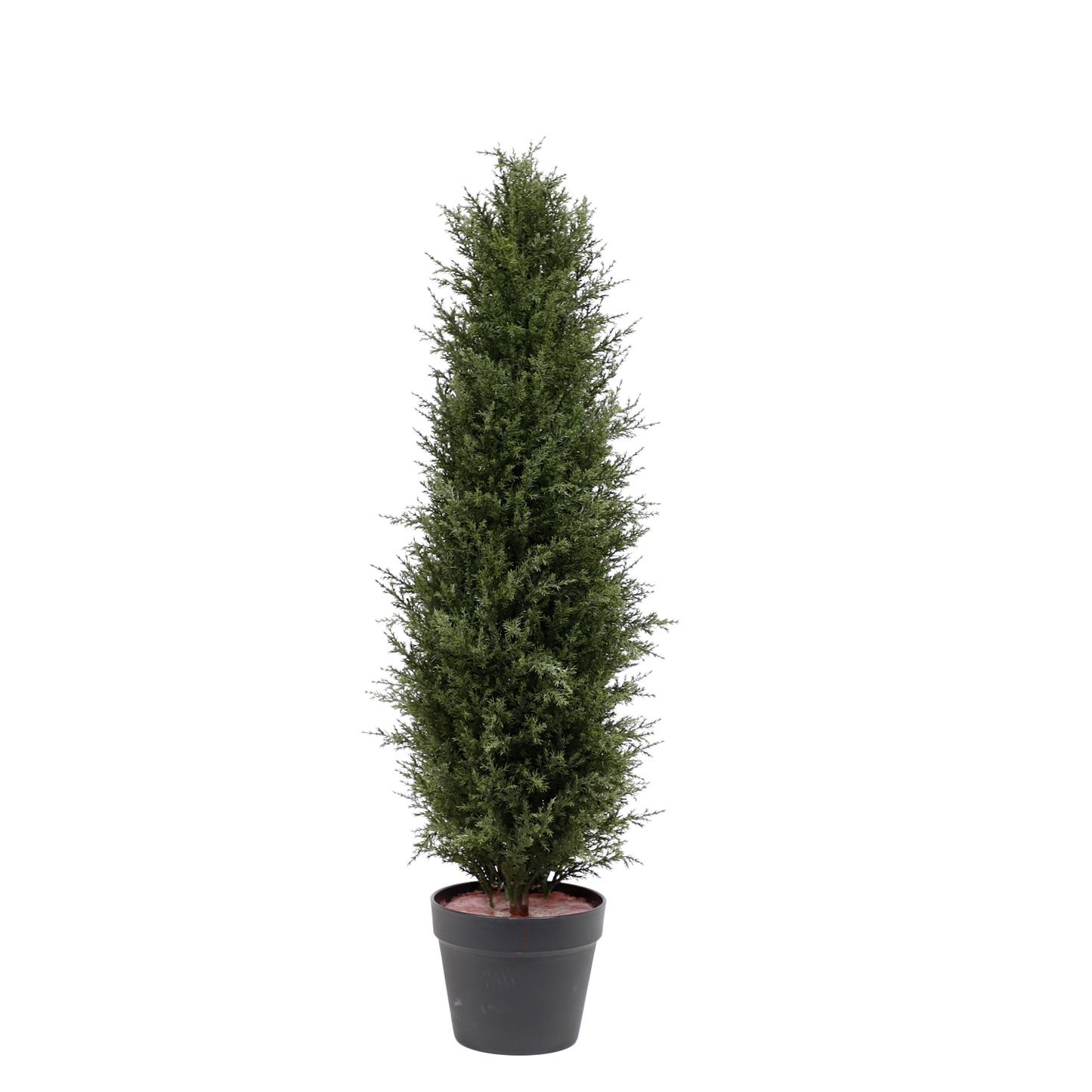 KM5293-Cypress cone topiary in plastic pot-H92cm