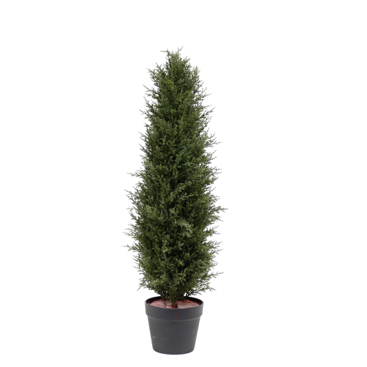KM5293-Cypress cone topiary in plastic pot-H92cm